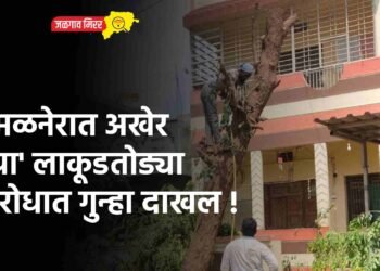 अमळनेरात अखेर ‘त्या’ लाकूडतोड्या विरोधात गुन्हा दाखल !
