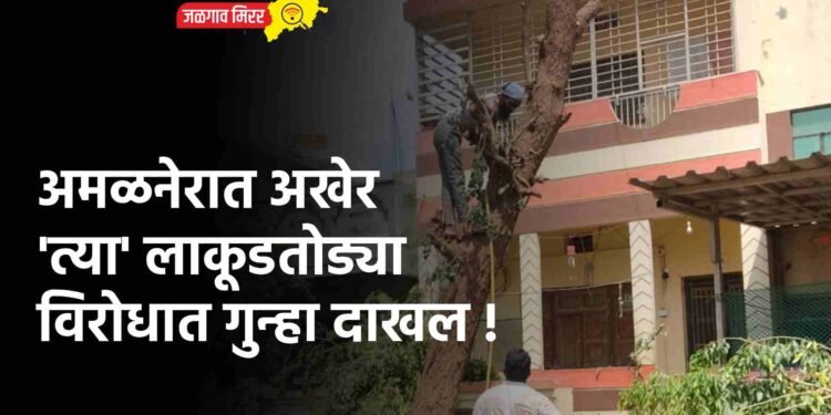 अमळनेरात अखेर ‘त्या’ लाकूडतोड्या विरोधात गुन्हा दाखल !