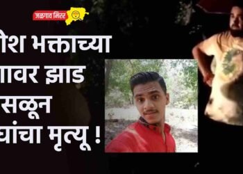 गणेश भक्ताच्या अंगावर झाड कोसळून दोघांचा मृत्यू !