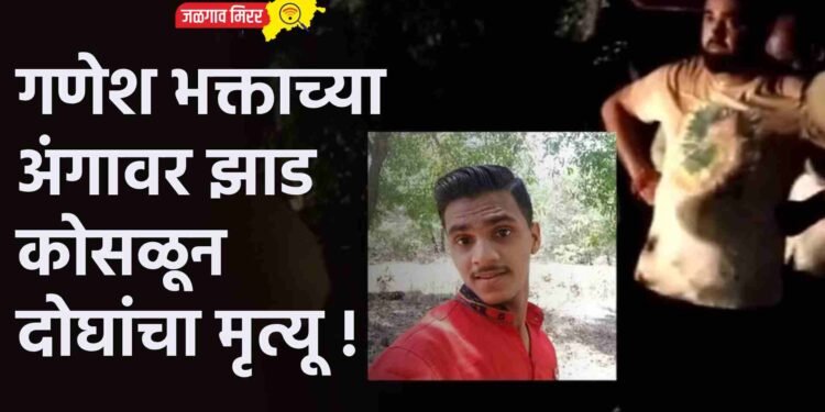 गणेश भक्ताच्या अंगावर झाड कोसळून दोघांचा मृत्यू !