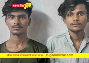 शुल्लक कारणाने चाकूने हल्ला करणारे दोघे ताब्यात !