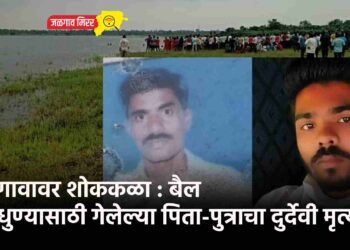 गावावर शोककळा : बैल धुण्यासाठी गेलेल्या पिता-पुत्राचा दुर्देवी मृत्यू !