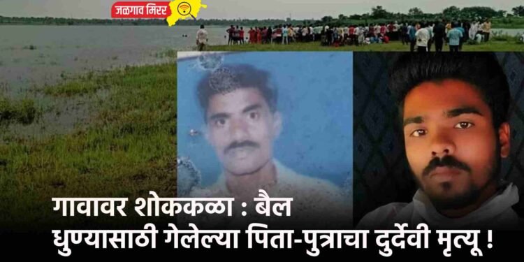 गावावर शोककळा : बैल धुण्यासाठी गेलेल्या पिता-पुत्राचा दुर्देवी मृत्यू !
