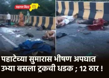 पहाटेच्या सुमारास भीषण अपघात : उभ्या बसला ट्रकची धडक ; १२ ठार !