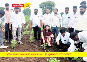 दुष्काळ जाहिर करण्याची सरकारकडे मागणी करणार-ॲड.रोहिणी खडसे