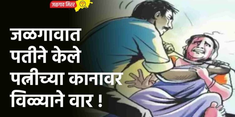 जळगावात पतीने केले पत्नीच्या कानावर विळ्याने वार !