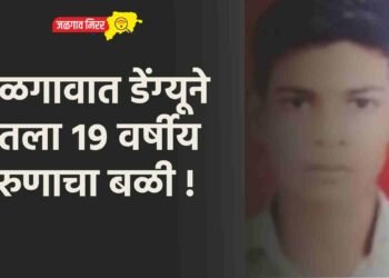 जळगावात डेंग्यूने घेतला १९ वर्षीय तरुणाचा बळी !