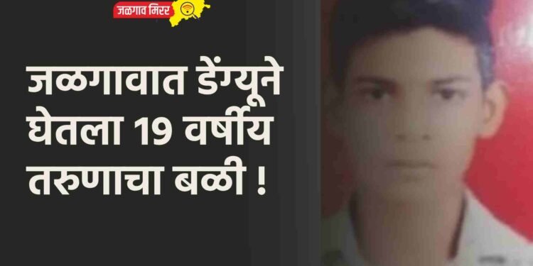 जळगावात डेंग्यूने घेतला १९ वर्षीय तरुणाचा बळी !