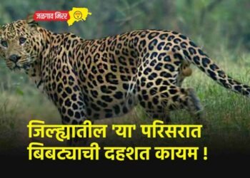 जिल्ह्यातील 'या' परिसरात बिबट्याची दहशत कायम !