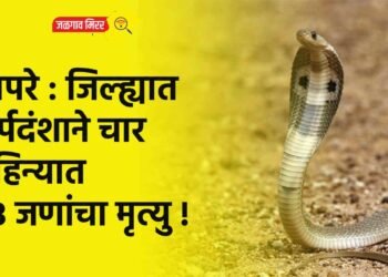 बापरे : जिल्ह्यात सर्पदंशाने चार महिन्यात 23 जणांचा मृत्यु !