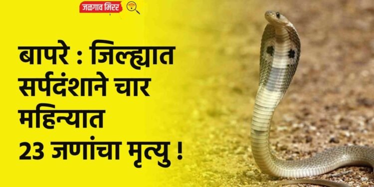 बापरे : जिल्ह्यात सर्पदंशाने चार महिन्यात 23 जणांचा मृत्यु !