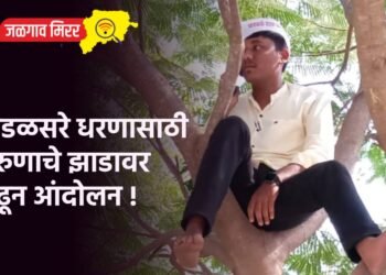 पाडळसरे धरणासाठी तरुणाचे झाडावर चढून आंदोलन !