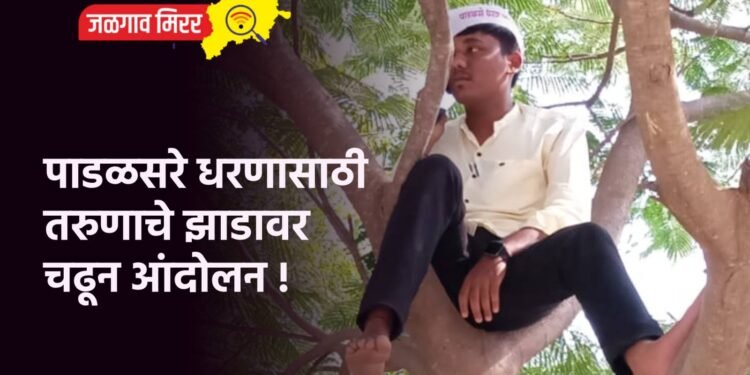 पाडळसरे धरणासाठी तरुणाचे झाडावर चढून आंदोलन !