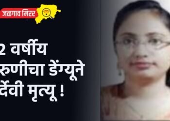 २२ वर्षीय तरुणीचा डेंग्यूने दुर्देवी मृत्यू !