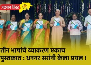तीन भाषांचे व्याकरण एकाच पुस्तकात : धनगर सरांनी केला प्रयत्न !