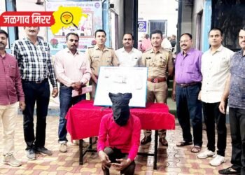 गावठी पिस्तूल घेवून दहशत माजविणाऱ्याला अटक !