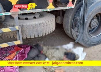 जळगाव : ट्रकखाली आल्याने क्लिनरचा दुर्दैवी मृत्यू