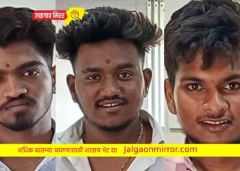 जळगावातील टोळीप्रमुखासह दोघे हद्दपार !