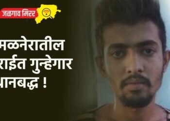 अमळनेरातील सराईत गुन्हेगार स्थानबद्ध !