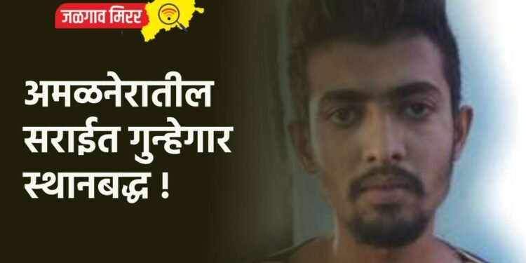 अमळनेरातील सराईत गुन्हेगार स्थानबद्ध !