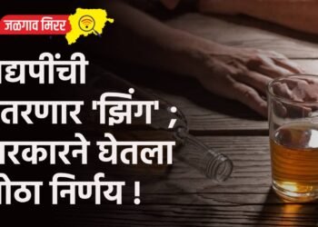 मद्यपींची उतरणार ‘झिंग’ ; सरकारने घेतला मोठा निर्णय !