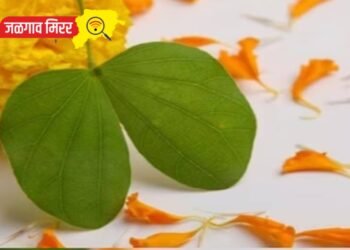 दसऱ्याच्या दिवशी या राशींना असेल सोन्याचा दिवस !