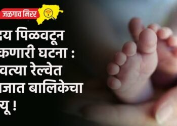 हृदय पिळवटून टाकणारी घटना : धावत्या रेल्वेत नवजात बालिकेचा मृत्यू !