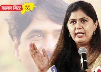इतरांना पाडण्यासाठी मी मैदानात उतरणार ; पंकजा मुंडे सरकारवर बरसल्या !