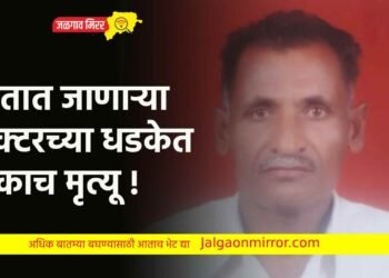 शेतात जाणाऱ्या ट्रॅक्टरच्या धडकेत एकाच मृत्यू !