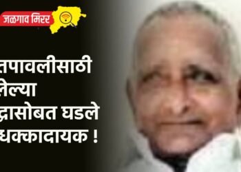 शतपावलीसाठी गेलेल्या वृद्धासोबत घडले ते धक्कादायक !