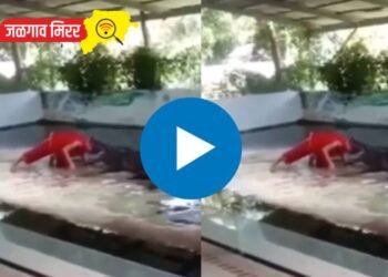 थरारक व्हिडीओ : मगरीच्या जबड्यात एकाने घातले डोक !