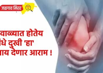 हिवाळ्यात होतेय सांधे दुखी ‘हा’ उपाय देणार आराम !