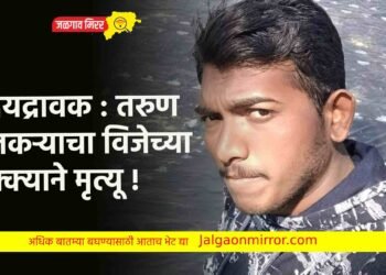 हृदयद्रावक : तरुण शेतकऱ्याचा विजेच्या धक्क्याने मृत्यू !