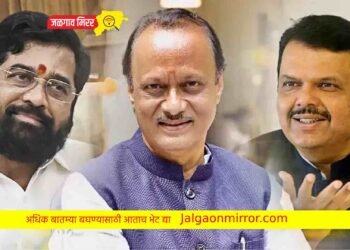 मुख्यमंत्री शिंदे व फडणवीस दिल्लीत तर अजित पवार नाराज ?