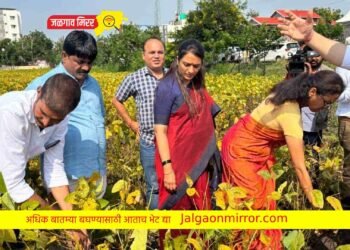 सोयाबिनच्या नुकसानीची नुकसानभरपाई मिळावी : ॲड. खडसे