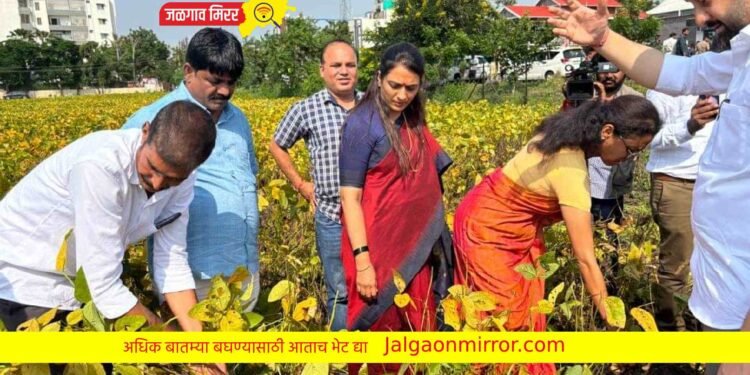 सोयाबिनच्या नुकसानीची नुकसानभरपाई मिळावी : ॲड. खडसे