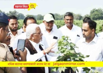 कापसाची उत्पादकता वाढविणे आवश्यक – जिल्हाधिकारी आयुष प्रसाद !