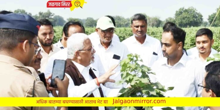 कापसाची उत्पादकता वाढविणे आवश्यक – जिल्हाधिकारी आयुष प्रसाद !