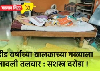 दीड वर्षाच्या बालकाच्या गळ्याला लावली तलवार : सशस्त्र दरोडा !