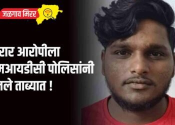 फरार आरोपीला एमआयडीसी पोलिसांनी घेतले ताब्यात !