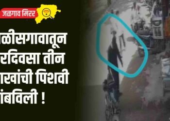 चाळीसगावातून भरदिवसा तीन लाखांची पिशवी लांबविली !