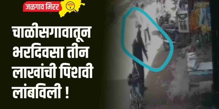 चाळीसगावातून भरदिवसा तीन लाखांची पिशवी लांबविली !