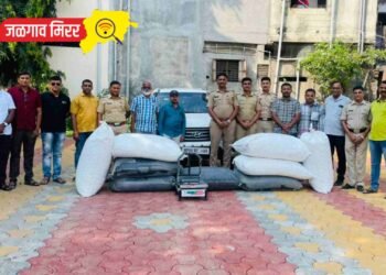 लाखो रुपयांची अफूची बोंडे चाळीसगाव पोलिसांनी पकडली !