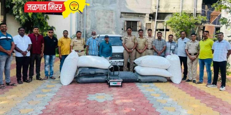 लाखो रुपयांची अफूची बोंडे चाळीसगाव पोलिसांनी पकडली !