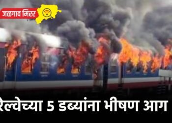 रेल्वेच्या ५ डब्यांना भीषण आग !