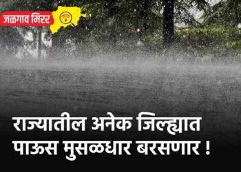 राज्यातील अनेक जिल्ह्यात पाऊस मुसळधार बरसणार !