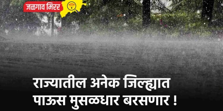 राज्यातील अनेक जिल्ह्यात पाऊस मुसळधार बरसणार !