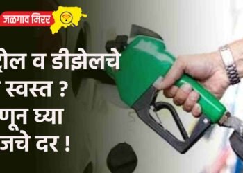 पेट्रोल व डीझेलचे दर स्वस्त ? जाणून घ्या आजचे दर !