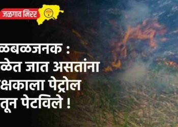 खळबळजनक : शाळेत जात असतांना शिक्षकाला पेट्रोल ओतून पेटविले !