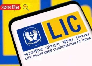 आयकर विभागाकडून एलआयसीला मोठा धक्का : कोट्यवधीचा दिला दंड !